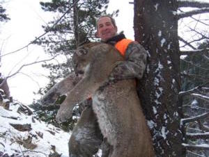 Mountain Lion Hunting
