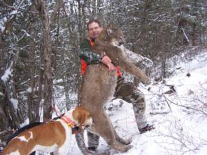 Mountain Lion Hunting