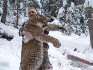 Mountain Lion Hunting