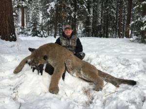 Mountain Lion Hunting